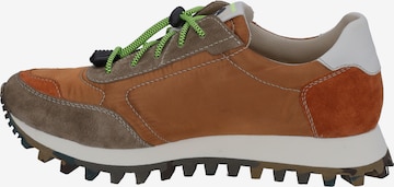 JOSEF SEIBEL Sneakers 'BONNIE 01' in Brown