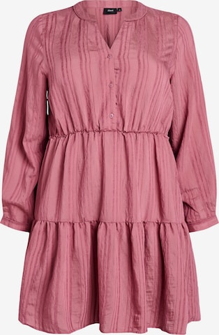 raudona Zizzi Suknelė: priekis