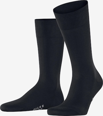 FALKE Socken 'Cool 24/7' in Blau: Vorderseite