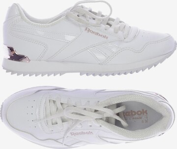 Reebok Sneakers & Trainers in 37 in White: front