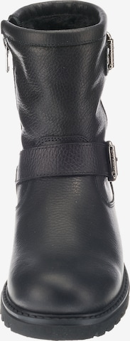 PANAMA JACK Boots 'Felina Igloo' in Black