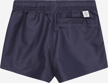 ADIDAS PERFORMANCE Regular Badeshorts 'Classic Badge Of' in Blau