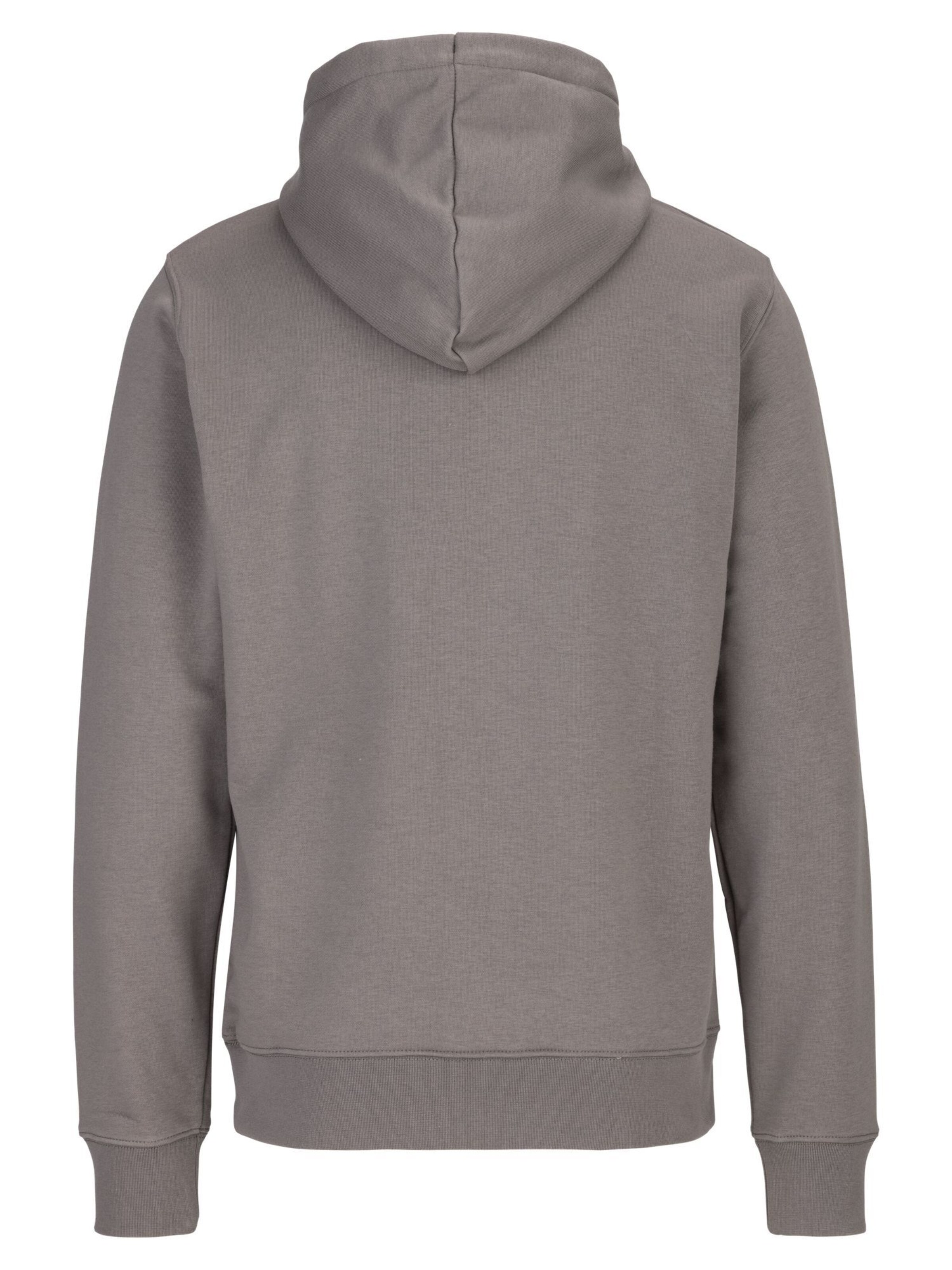 REPLAY Sweatshirt in Grijs