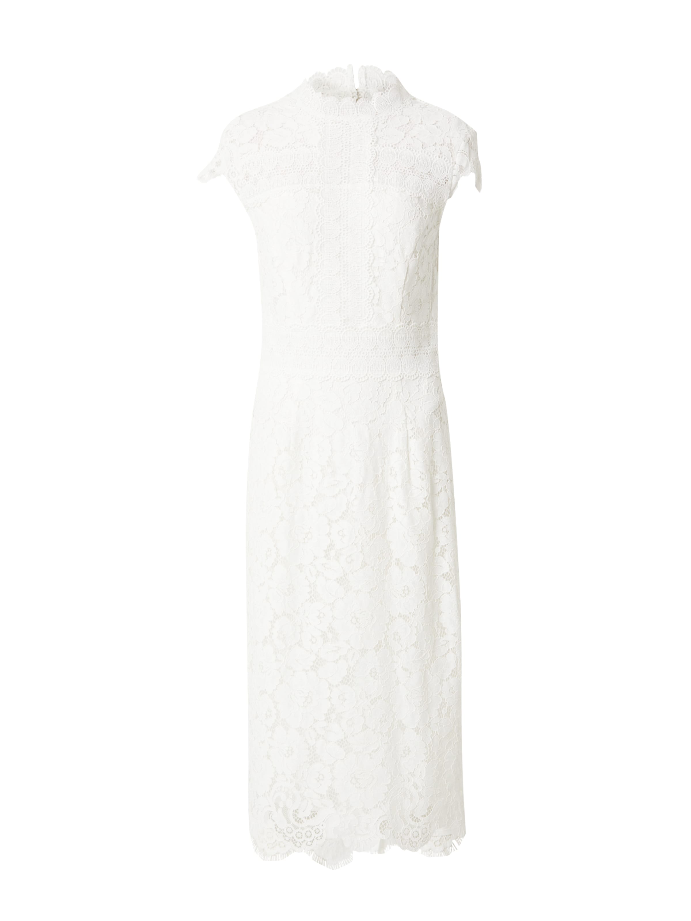 Rochie 'NYNA ROSE' de la IVY OAK pe alb: față