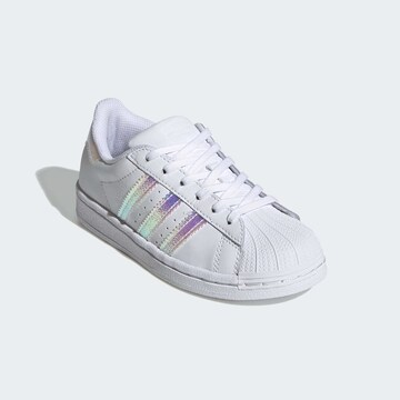 ADIDAS ORIGINALS - Sapatilhas 'Superstar' em branco