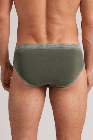 INTIMISSIMI Panty in Green