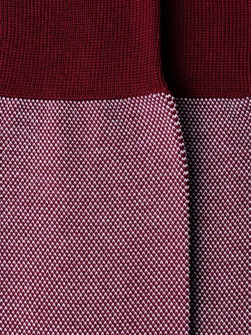 Hackett London Socken ' BIRDS EYE  ' in Rot