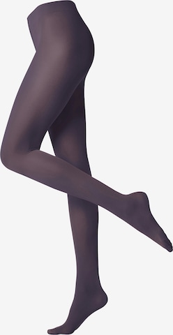 FALKE Hlačne nogavice | vijolična barva: sprednja stran