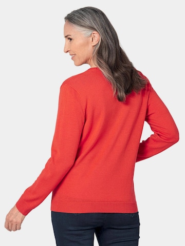 Goldner Strickjacke in Rot