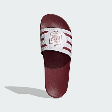 ADIDAS PERFORMANCE Strand-/badschoen in Rood