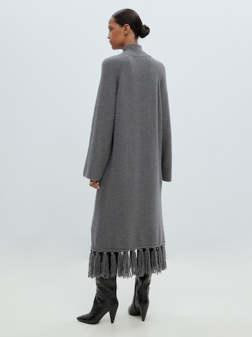 EDITED Kleide 'Bastienne' in Grau