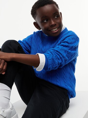 TOMMY HILFIGER Sweater 'Essential' in Blue