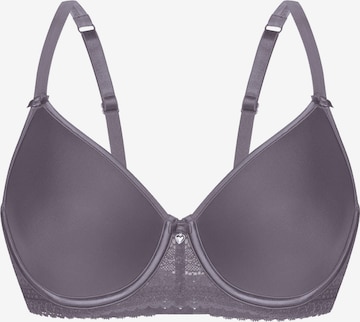 sassa Bra 'WINTER EVENING' in Grey: front