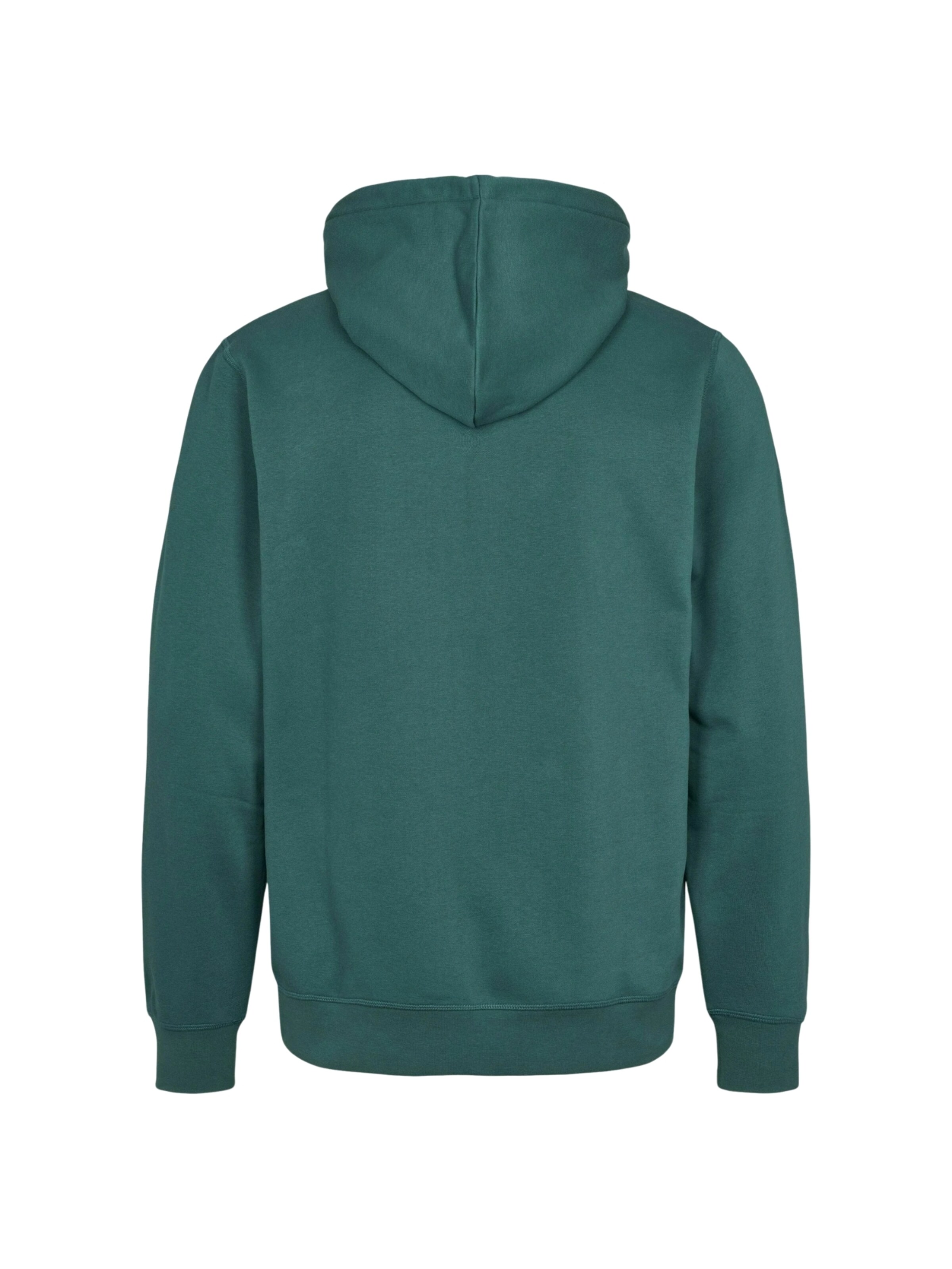 U.S. POLO ASSN. Trui ' Toke ' in Groen