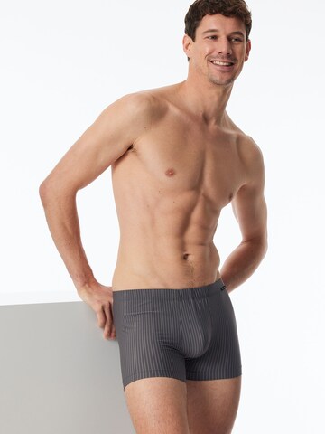 SCHIESSER Boxer shorts ' Pure Micro ' in Grey