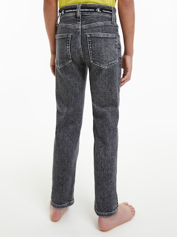 Calvin Klein Jeans Regular Jeans in Grijs