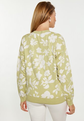 Pull-over Usha en vert