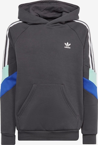 ADIDAS ORIGINALS Sweatshirt 'Rekive' in Grijs: voorkant