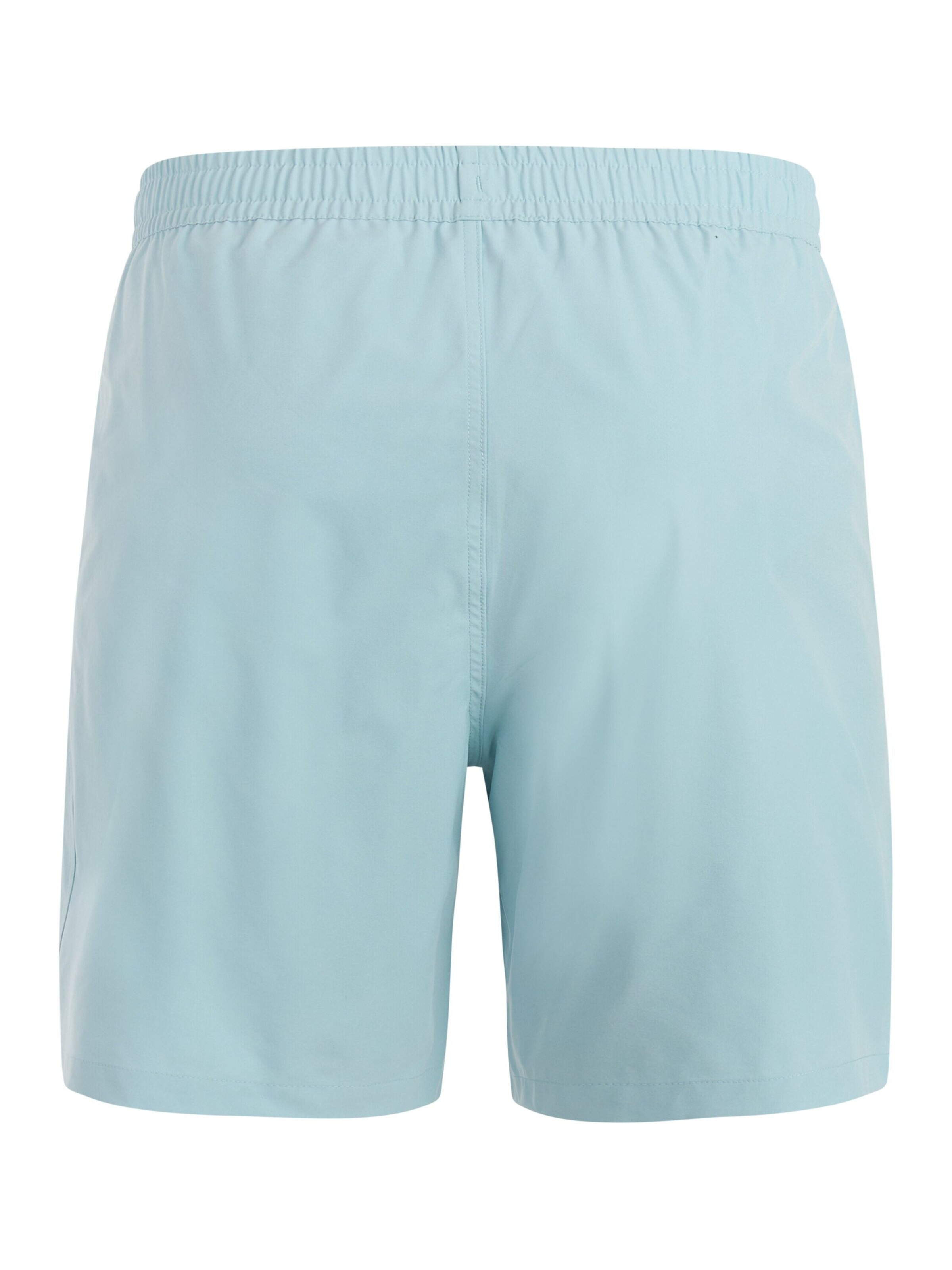 PROTEST Badeshorts 'PRTBaky'‌‌‌‌‌‌‌‌ in Blau: Vorderseite
