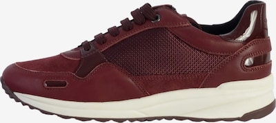 GEOX Sportlicher Schnürschuh in 36 in rot, Produktansicht