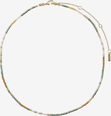 Chaîne 'Alison' Pilgrim en or : devant