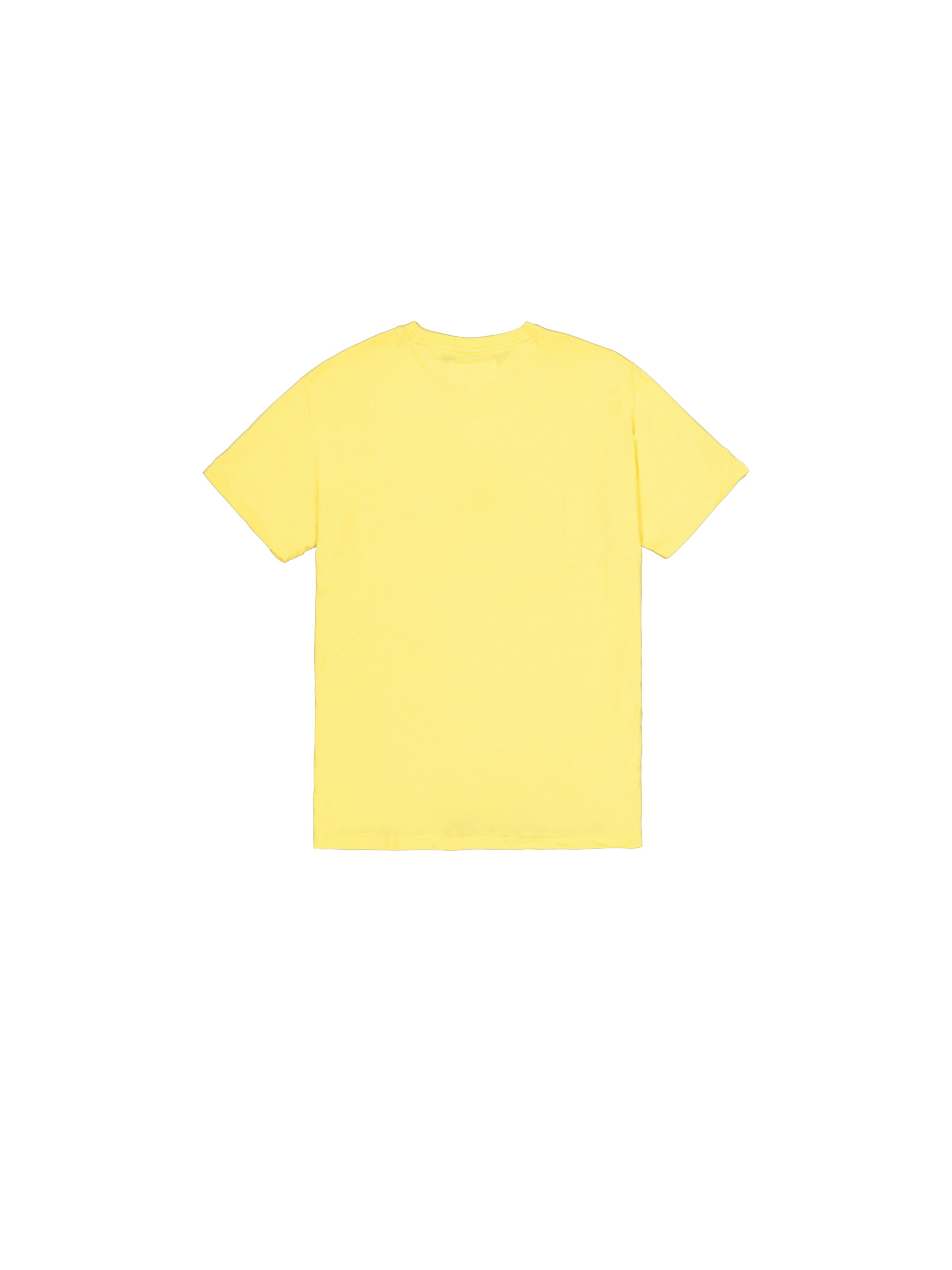 ALPHA INDUSTRIES Shirt in Yellow