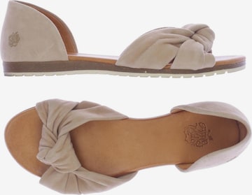 Apple of Eden Sandalen 37 in Beige: predná strana