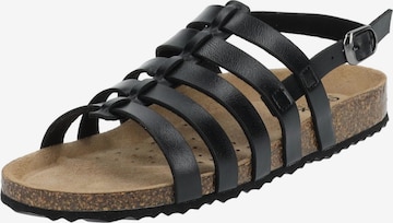 GEOX Sandale 'Brionia' in Schwarz: Vorderseite
