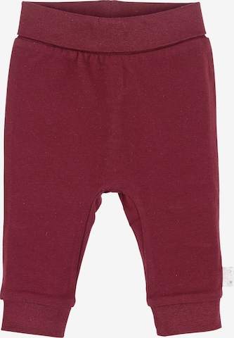 STERNTALER Regular Pants 'Elia' in Red: front