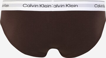 Calvin Klein Underwear Plus Panty in Brown
