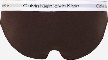 Slip Calvin Klein Underwear Plus en marron
