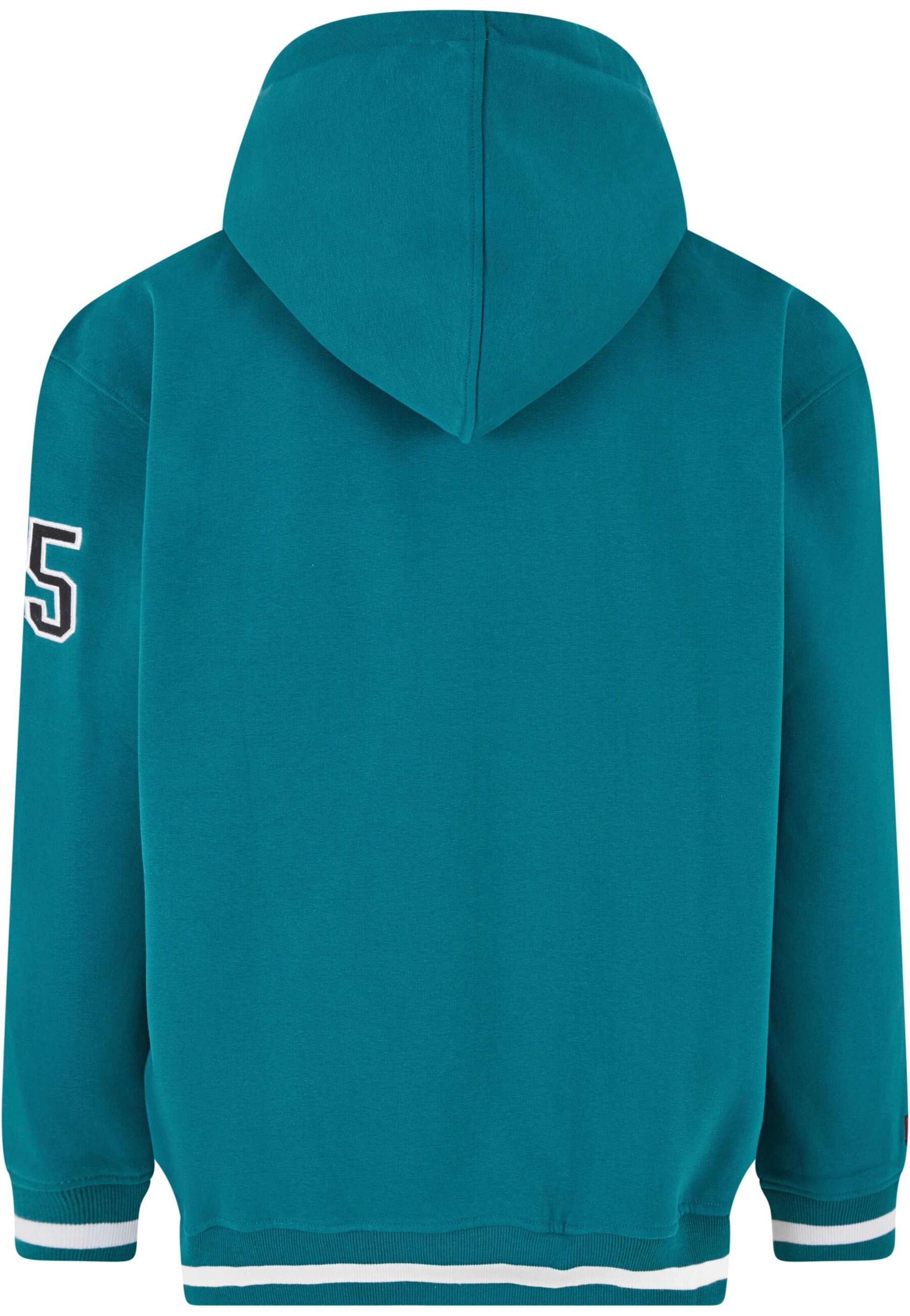 FUBU Sweatshirt in Grün