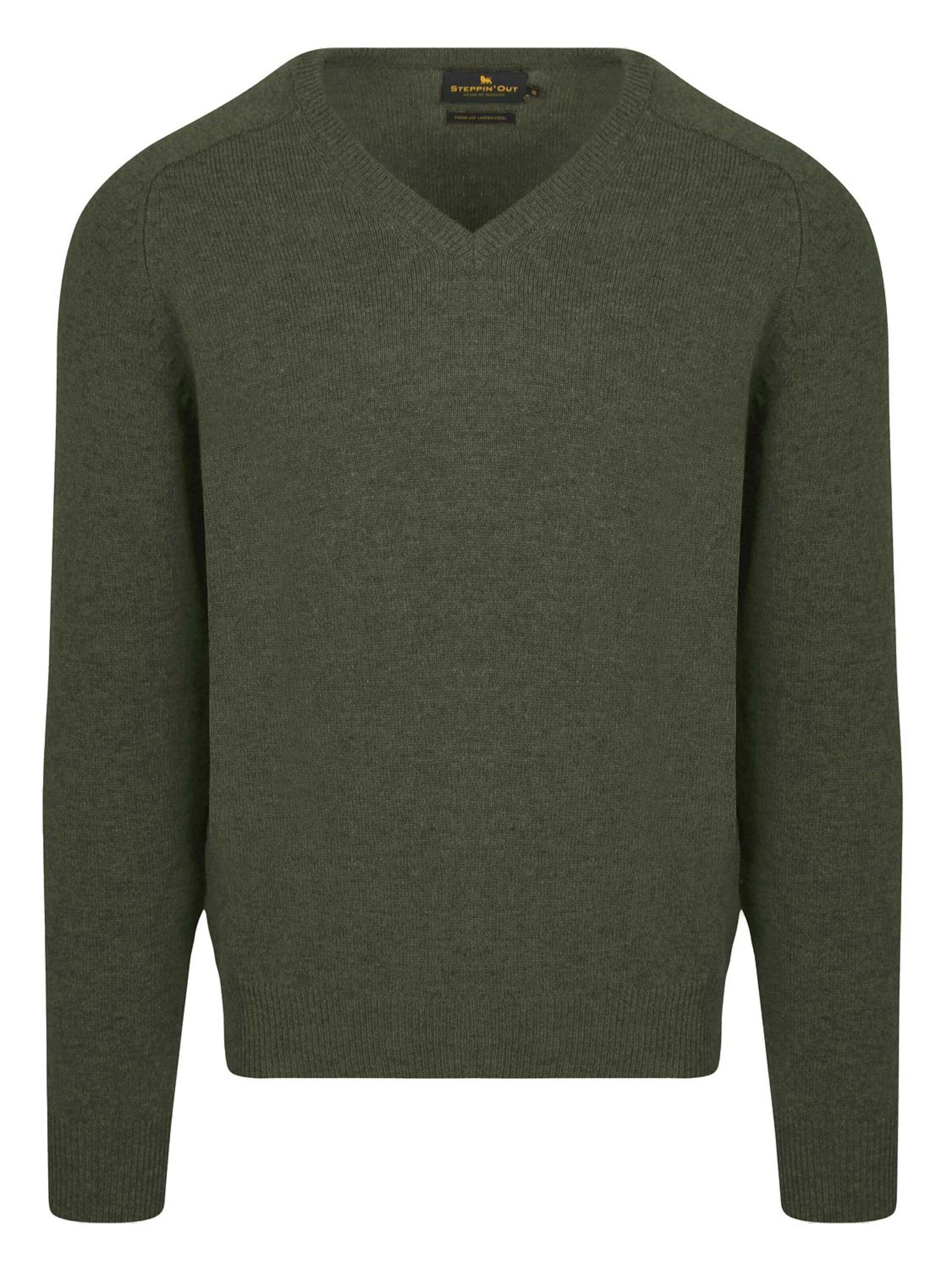 Steppin' out Sweater in Green: front