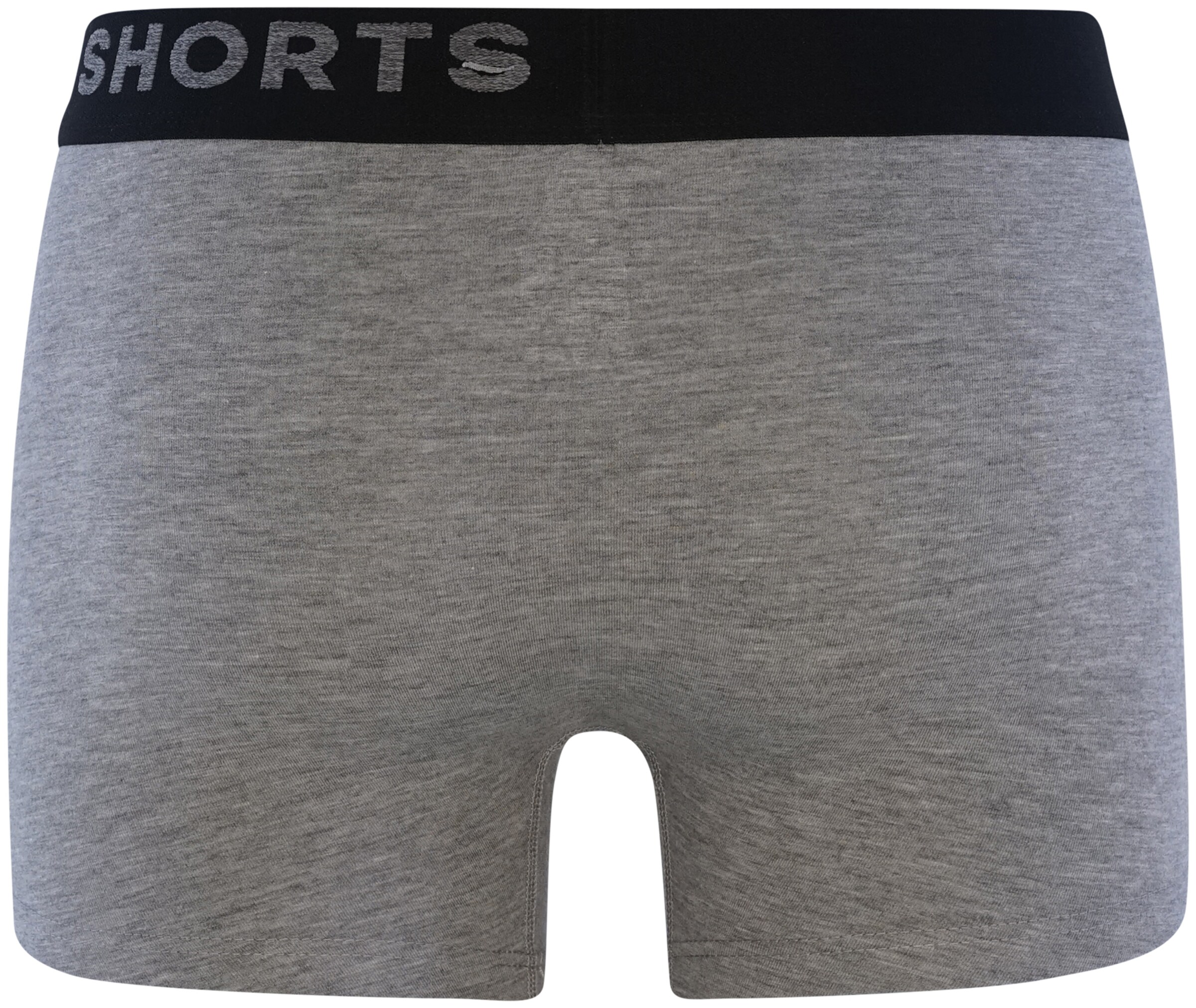 Happy Shorts Retroshorts ' Trunks #2 ' in Grau