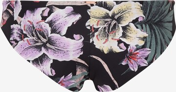 O'NEILL Bikinihose 'Maoi' in Schwarz