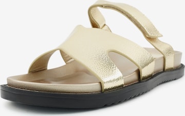 Findlay Pantolette 'DRIES' in Gold: Vorderseite
