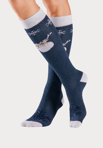 BENCH Athletic Socks in Blue