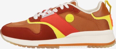 SCOTCH & SODA Baskets basses en marron / jaune / rouge, Vue avec produit