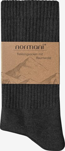 normani Sportsocken in Grau