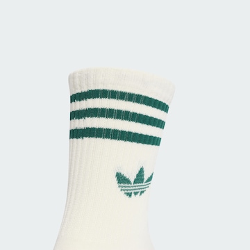 ADIDAS ORIGINALS Socks in White