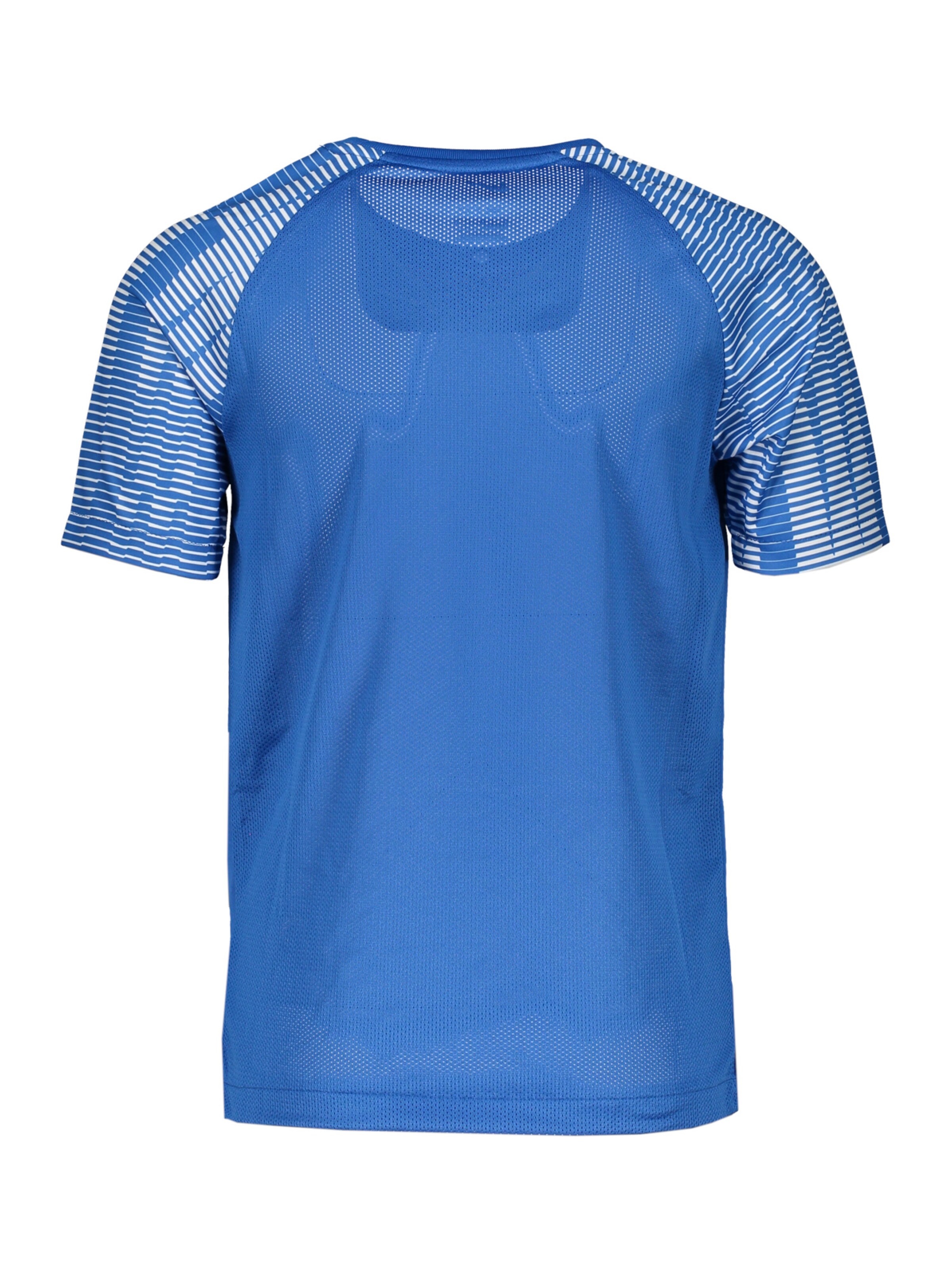 NIKE Funktionsshirt 'Academy' in Blau