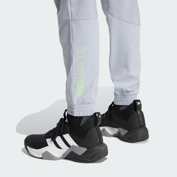 ADIDAS PERFORMANCE Tapered Workout Pants 'Tech Apparel' in Grey