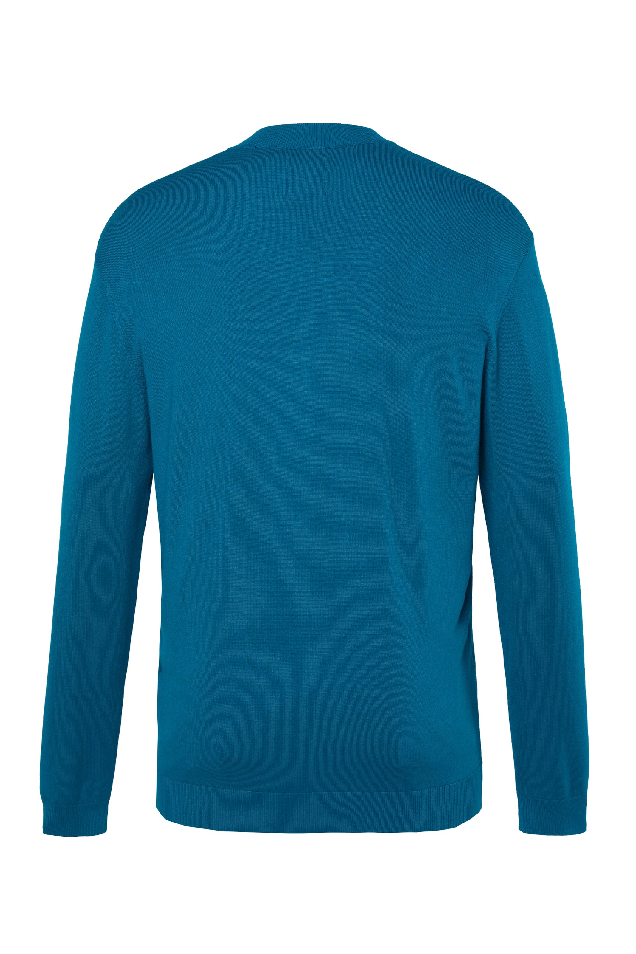 Men Plus Pullover in Blau