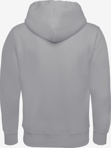 ALPHA INDUSTRIES Sweatshirt i grå