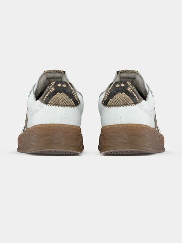 GABOR Sneaker in Weiß