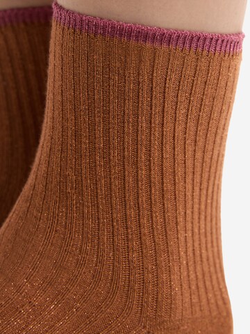 ETAM Socken 'Mindy' in Braun