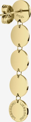 Liebeskind Berlin Earrings 'LJ-0385-E-42' in Gold