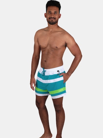 Shorts de bain wavebreaker en vert