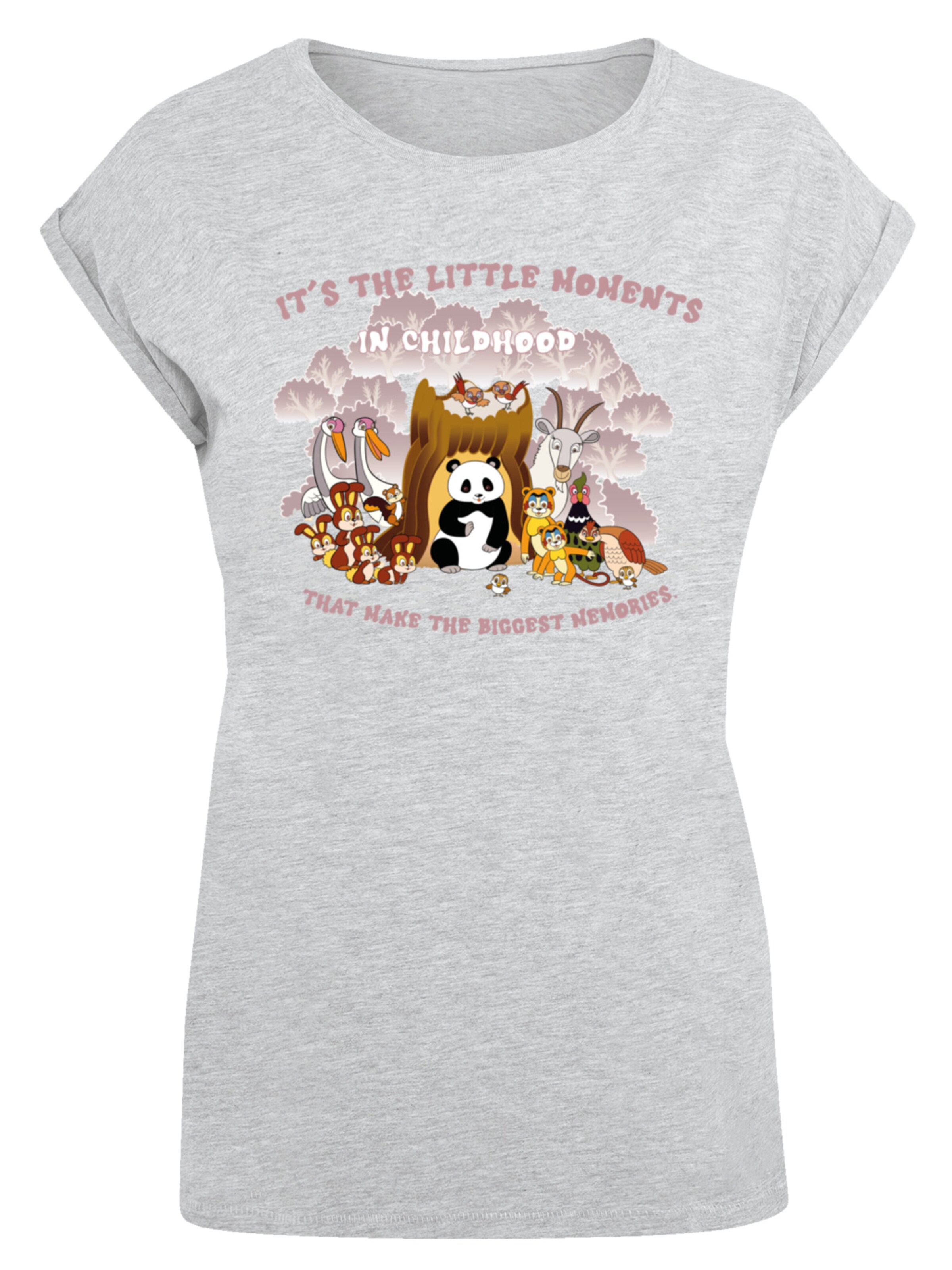 F4NT4STIC Shirt 'Heroes of Childhood Tao Tao Childhood Memories' in Grau: Vorderseite