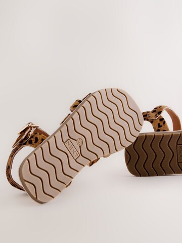 Next Sandalen in Bruin